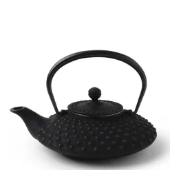 MIYA Company Cast Iron Teapot Flat Hailstone 0.5L