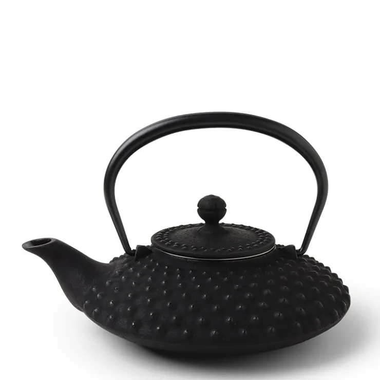 MIYA Company Cast Iron Teapot Flat Hailstone 0.5L