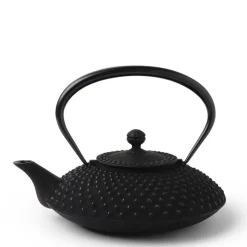 MIYA Company Cast Iron Teapot Flat Hailstone 1.08L