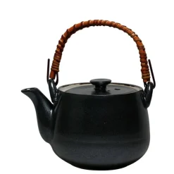 MIYA Company Iron Glaze  6" x 4.5" x 7" h 22 oz. Teapot at Miya
