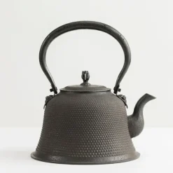 MIYA Company Iwachu Kettle Tetsubin Arare Kiyomo