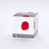 MIYA Company Sola Cube Huayruro Seed