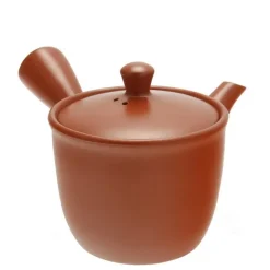 MIYA Company Teapot Kyu Tokoname Red Conical